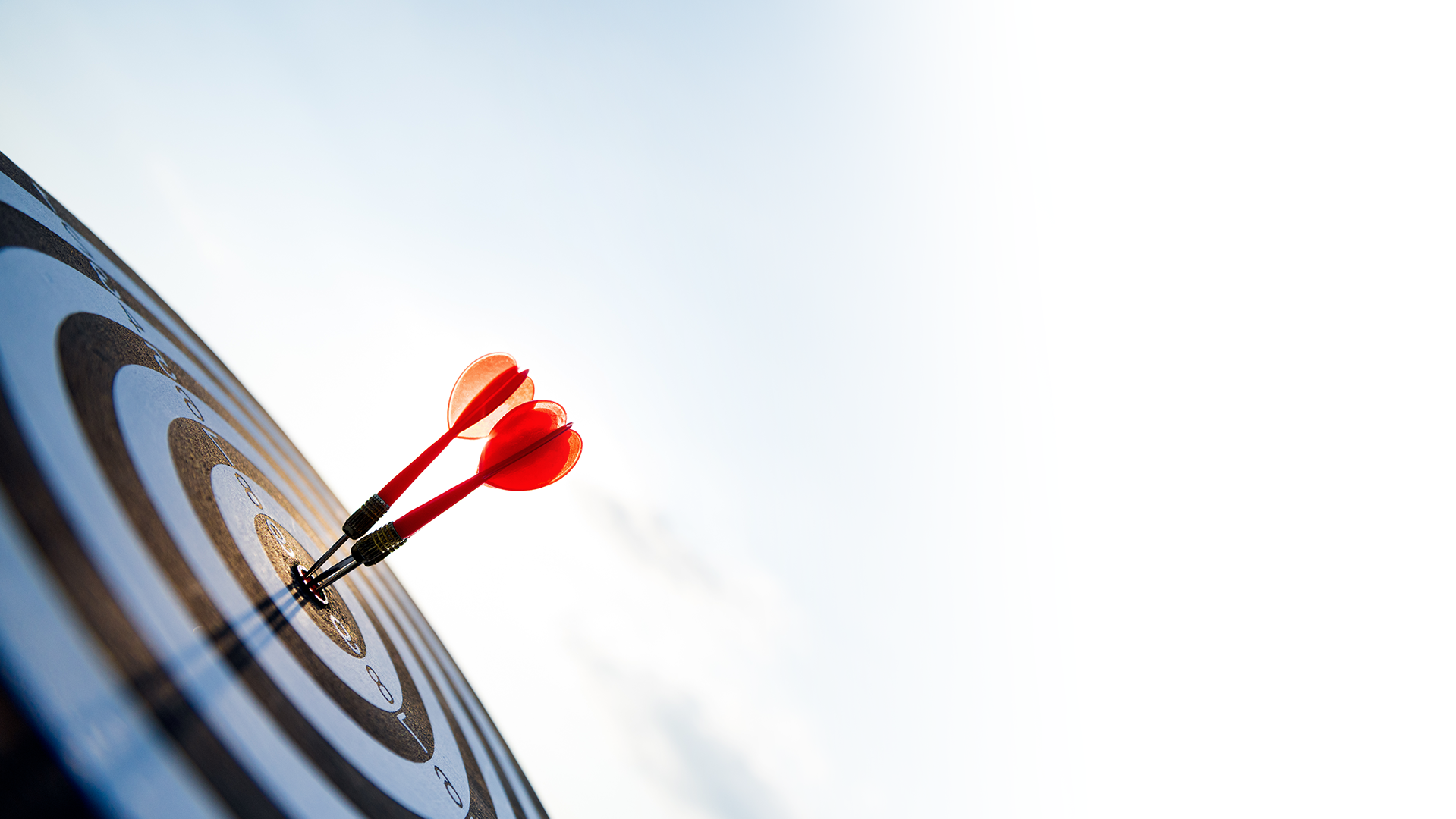 Zielscheibe mit 2 Dartpfeilen - Purpose, Zweck von Better Braincare